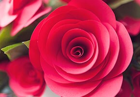 Come creare: rose di carta a spirale